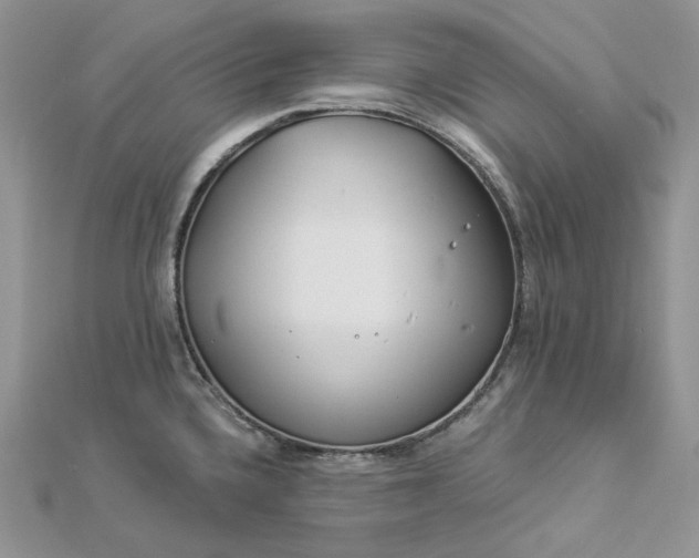 X0000112891336200909041654