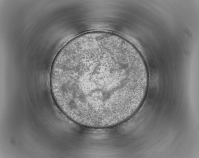 X0000112891338200909041654