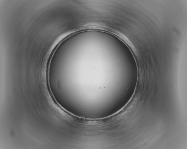 X0000112891339200909041654