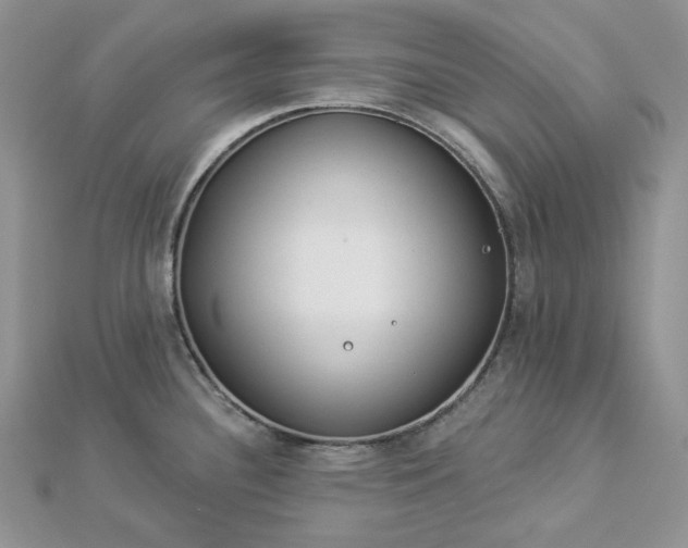 X0000112891340200909041654