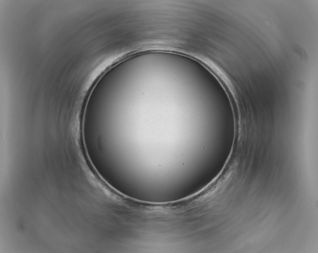 X0000112891341200909041654
