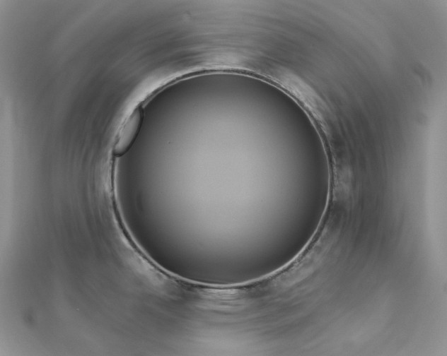 X0000112891342200909041654