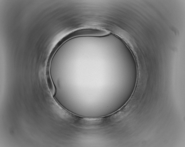 X0000112891344200909041654