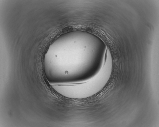 X0000112891345200909041653