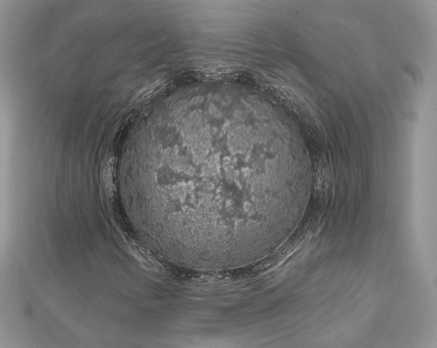 X0000112891346200909041653