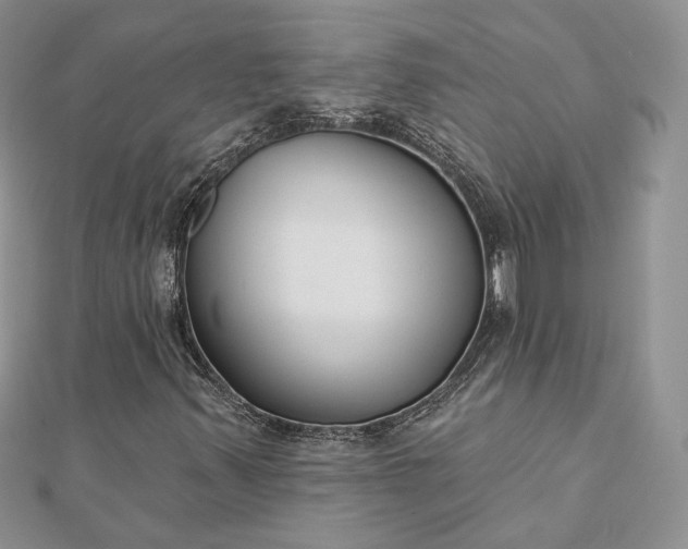 X0000112891347200909041653