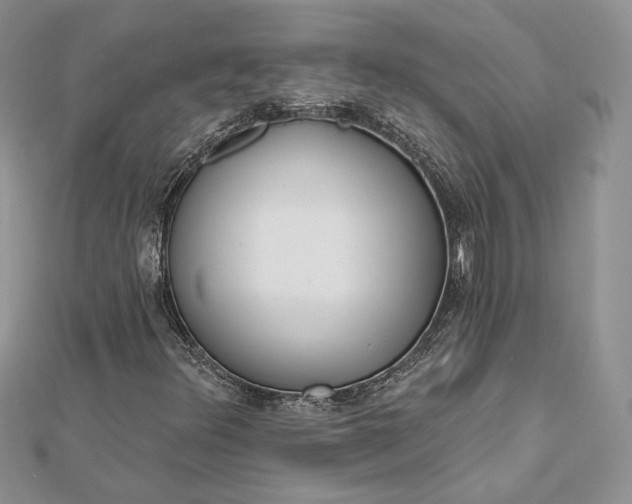 X0000112891348200909041653