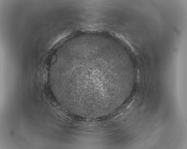 X0000112891350200909041653