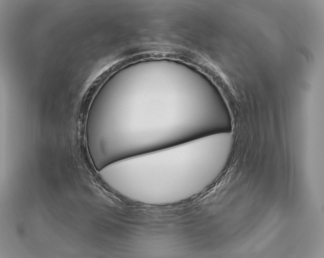 X0000112891352200909041653