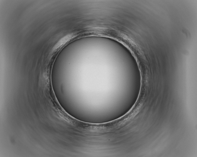 X0000112891354200909041653