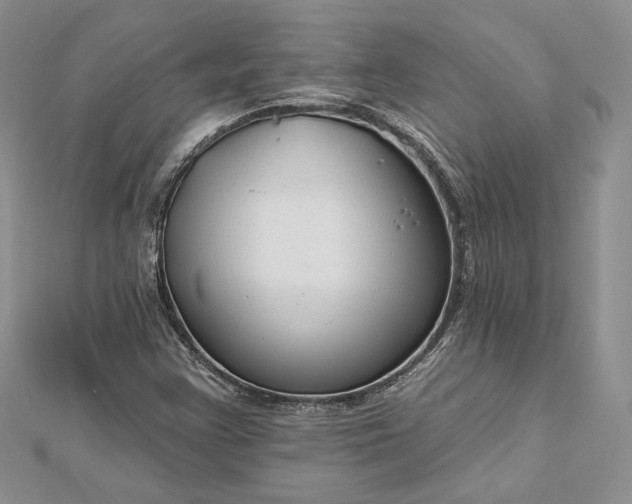 X0000112891355200909041653
