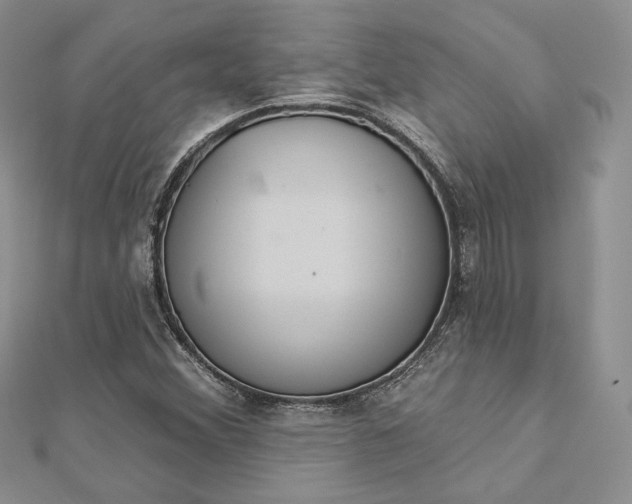 X0000112891356200909041653