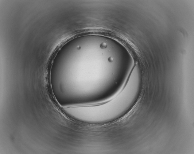 X0000112891357200909041653