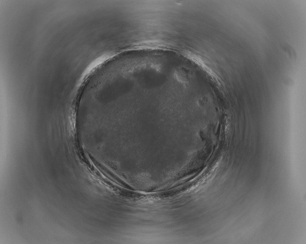 X0000112891358200909041653