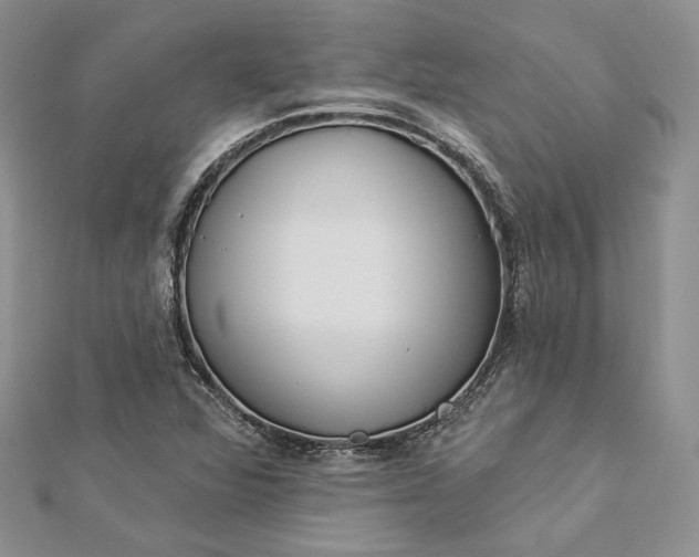 X0000112891360200909041653