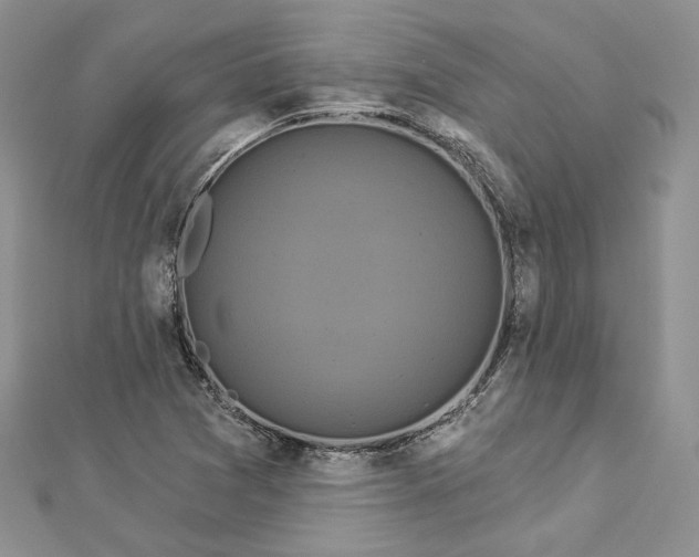 X0000112891361200909041653