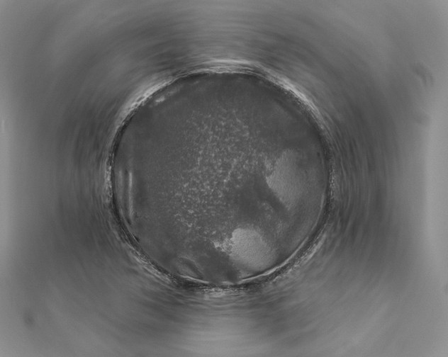 X0000112891362200909041653