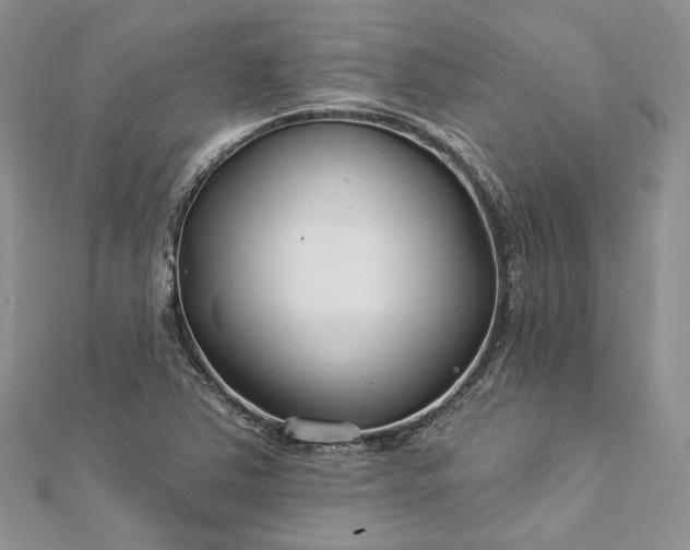 X0000112891363200909041653