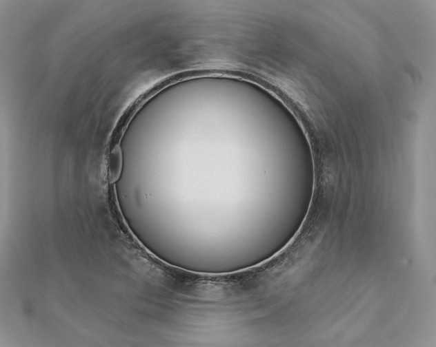 X0000112891364200909041653