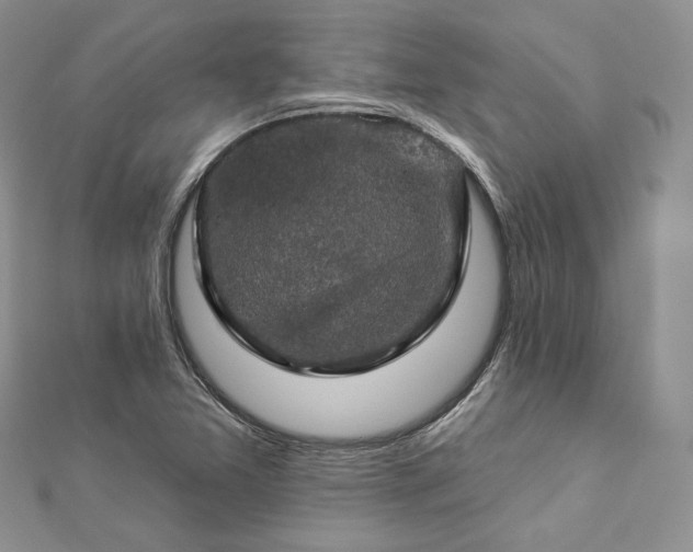 X0000112891365200909041653