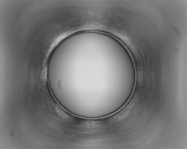 X0000112891366200909041653