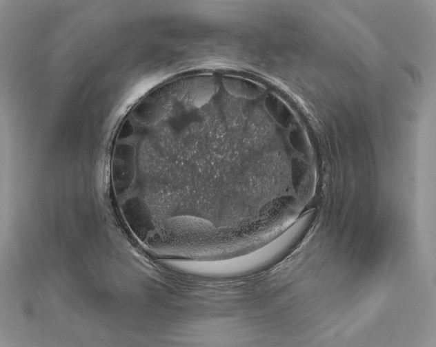 X0000112891367200909041653