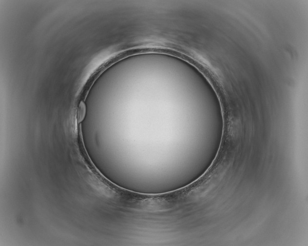 X0000112891368200909041653