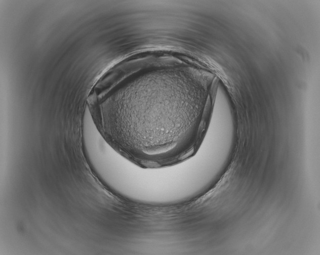 X0000112891369200909041653