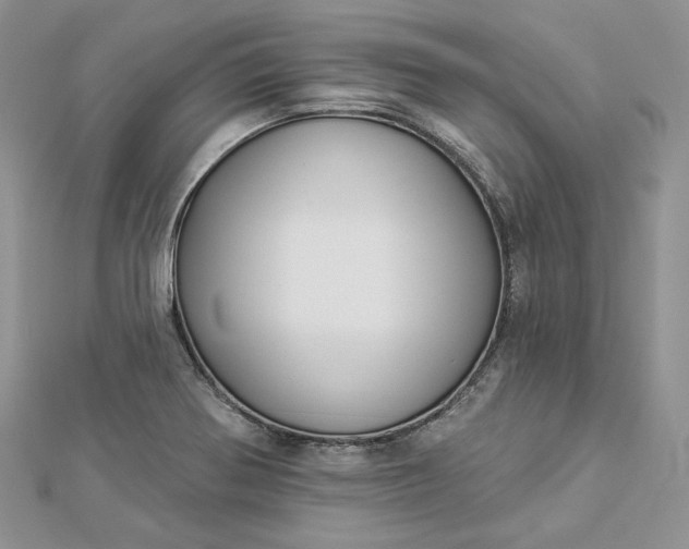 X0000112891370200909041653