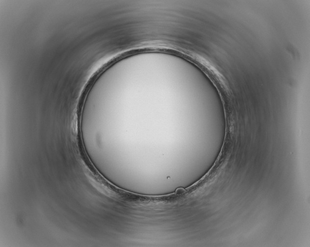 X0000112891372200909041653