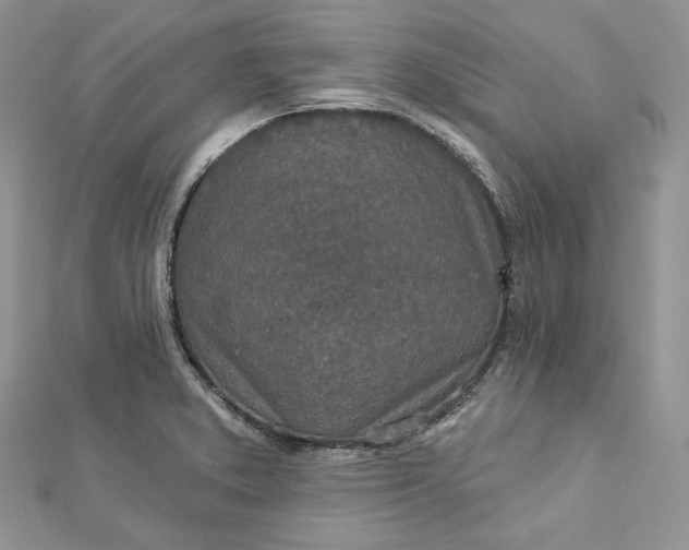X0000112891373200909041653