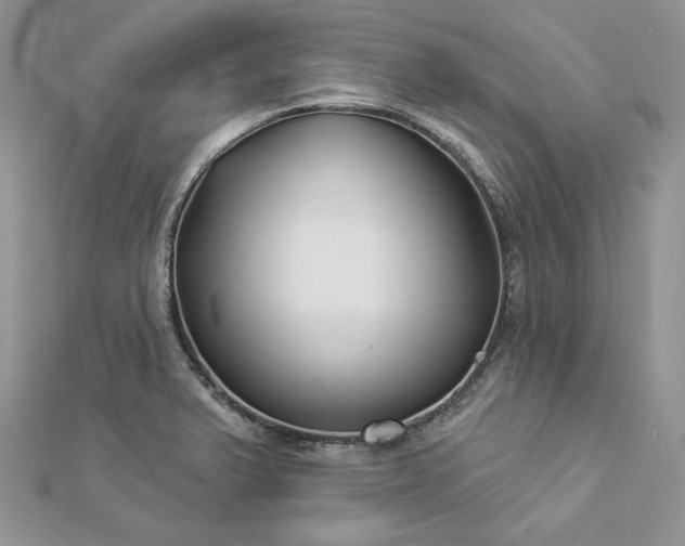 X0000112891375200909041653