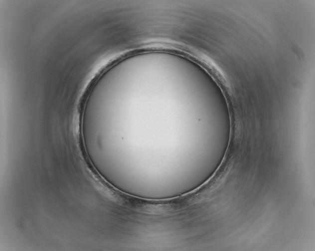 X0000112891376200909041653