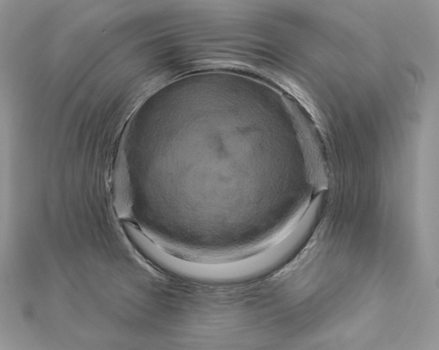 X0000112891377200909041653