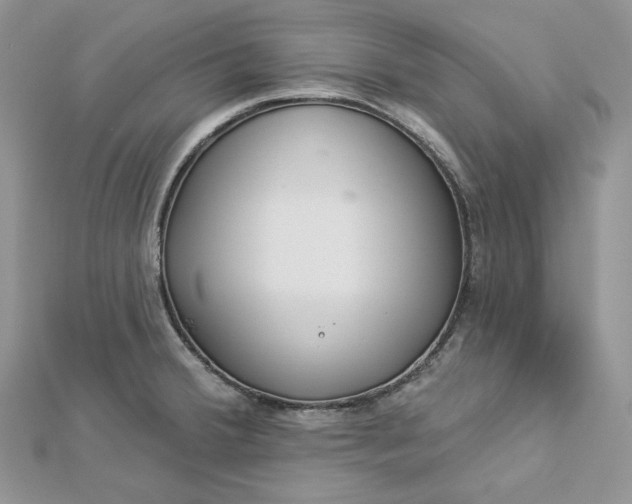 X0000112891380200909041653