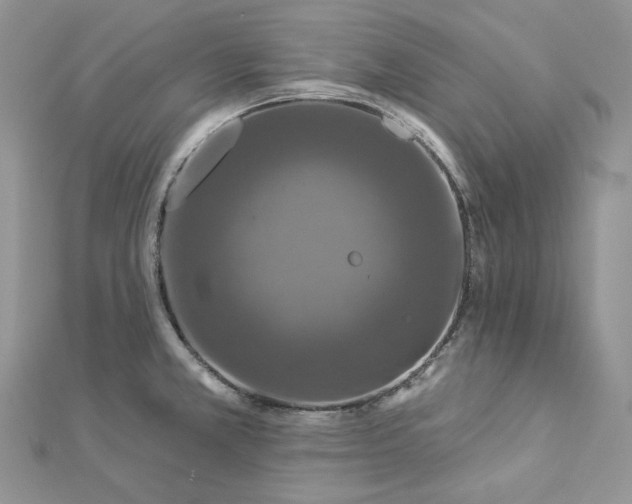 X0000112891381200909041653