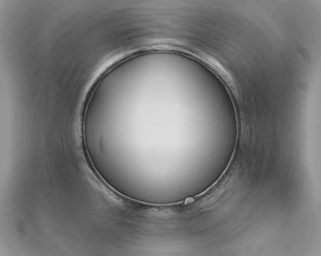 X0000112891384200909041652