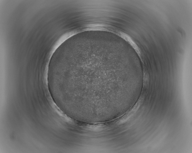 X0000112891386200909041652