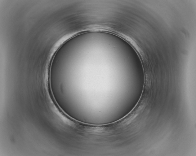 X0000112891387200909041652
