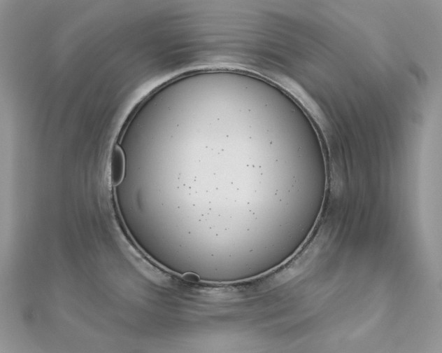 X0000112891388200909041652