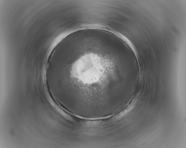 X0000112891389200909041652