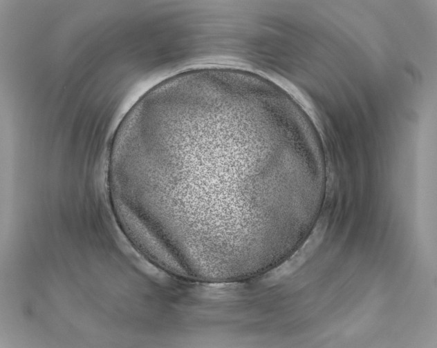 X0000112891390200909041652