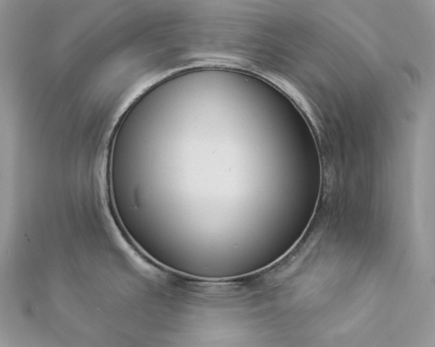 X0000112891391200909041652