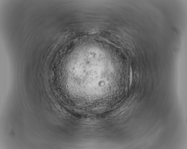 X0000112891393200909041652