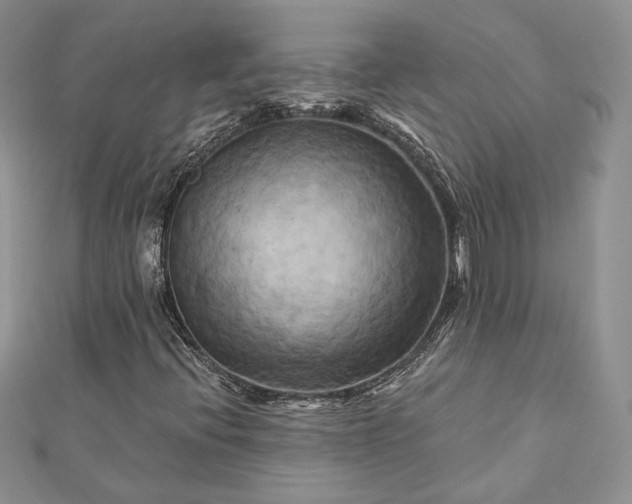 X0000112891396200909041652