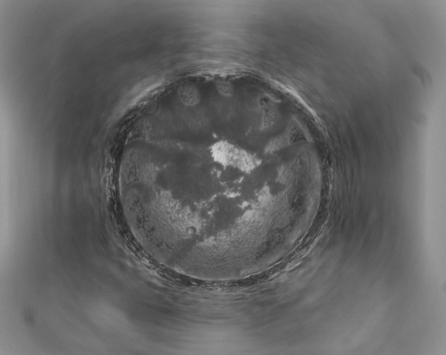 X0000112891399200909041652