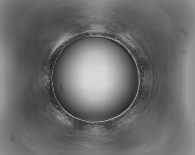 X0000112891400200909041652