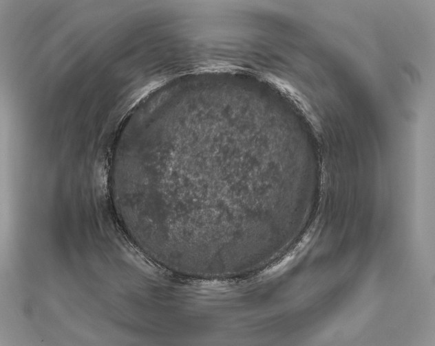 X0000112891401200909041652