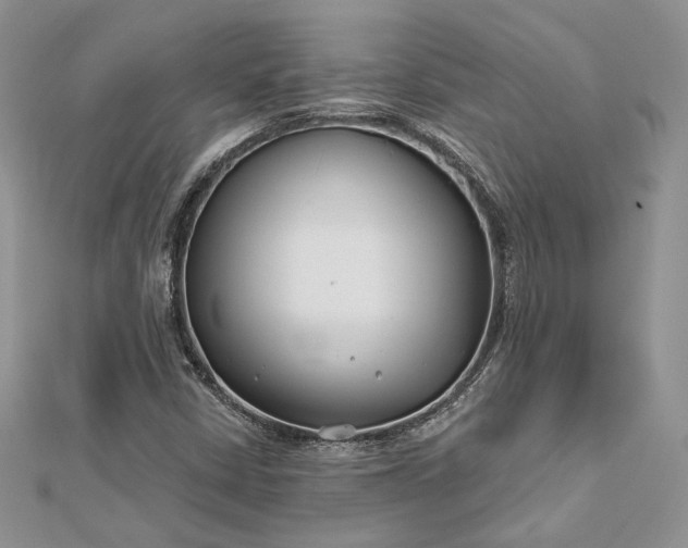 X0000112891402200909041652