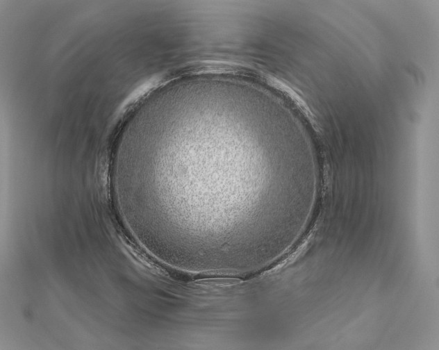 X0000112891403200909041652